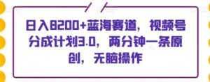 日入8200+蓝海赛道，视频号分成计划3.0，两分钟一条原创，无脑操作-大磊资源网