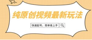 纯原创治愈系视频最新玩法，快速起号，简单易上手-大磊资源网