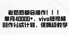 老奶奶都会操作，新平台无脑操作，单月40000+，vivo短视频创作分成计划【揭秘】-大磊资源网
