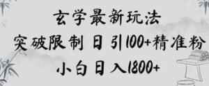 玄学新玩法，突破限制，日引100+精准粉，小白日入1800+【揭秘】-大磊资源网