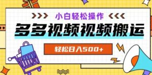 多多视频项目新手小白操作，轻松日入500+【揭秘】-大磊资源网