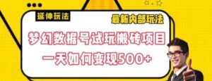 数据号回归玩法游戏试玩搬砖项目再创日入500+【揭秘】-大磊资源网