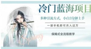 冷门蓝海项目，操作简单，小白3分钟上手，多种引流方式，保姆式全流程教学【揭秘】-大磊资源网