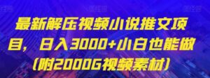 最新解压视频小说推文项目，日入3000+小白也能做【揭秘】-大磊资源网