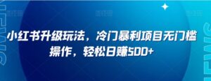小红书升级玩法，冷门暴利项目无门槛操作，轻松日赚500+【揭秘】-大磊资源网