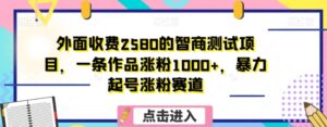 外面收费2580的智商测试项目，一条作品涨粉1000+，暴力起号涨粉赛道【揭秘】-大磊资源网