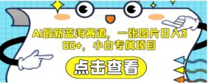 AI最新蓝海赛道，一张图片日入300+，小白专属项目【揭秘】-大磊资源网