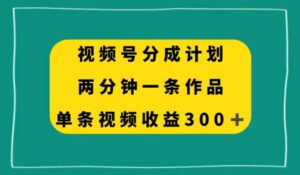 视频号分成计划，两分钟一条作品，单视频收益300+-大磊资源网