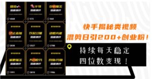 快手揭秘类视频混剪日引200+创业粉！持续每天四位数变现！-大磊资源网