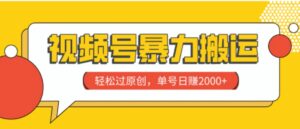 视频号暴力搬运，轻松过原创，单号日赚2000+-大磊资源网