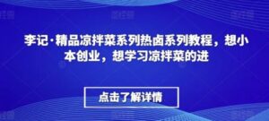 李记·精品凉拌菜系列热卤系列教程，想小本创业，想学习凉拌菜的进-大磊资源网