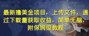 最新撸美金项目，上传文件，通过下载量获取收益，简单无脑，附保姆级教程【揭秘】-大磊资源网
