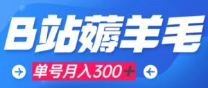 b站薅羊毛，0门槛提现，单号每月300＋可矩阵操作-大磊资源网