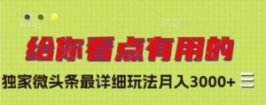 独家微头条最详细玩法，月入3000+【揭秘】-大磊资源网
