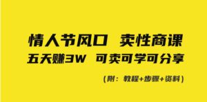 情人节风口！卖性商课，小白五天赚3W，可卖可学可分享！-大磊资源网