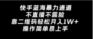 快手蓝海暴力通道，不直播不露脸，靠二维码轻松月入1W+，操作简单易上手-大磊资源网