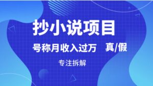 抄小说项目，号称月入过万，到底是否真实，能不能做，详细拆解-大磊资源网