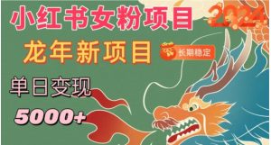 小红书女粉头像项目，单日变现5000+，适合在家做的副业，长期稳定-大磊资源网