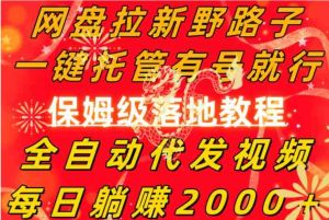 网盘拉新野路子，一键托管有号就行，全自动代发视频，每日躺赚2000＋，…-大磊资源网