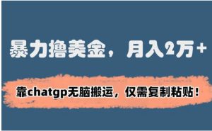 暴力撸美金，月入2万+！靠chatgp无脑搬运，仅需复制粘贴-大磊资源网