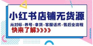 小红书店铺无货源：从对标-养号-拿货-客服话术-售后全流程-大磊资源网