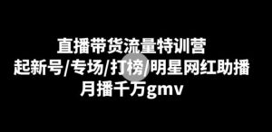 直播带货流量特训营：起新号/专场/打榜/明星网红助播，月播千万gmv-大磊资源网