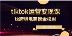 tiktok运营变现课，tk跨境电商摸金校尉-大磊资源网