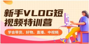 新手VLOG短视频特训营：学会带货、好物、直播、中视频、赚Q方法-大磊资源网