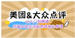 美团+大众点评从入门到精通：店铺本地生活流量提升店铺运营推广秘术…-大磊资源网