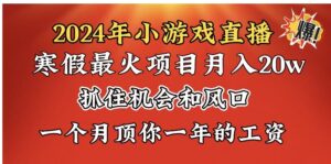 2024年寒假爆火项目，小游戏直播月入20w+，学会了之后你将翻身-大磊资源网