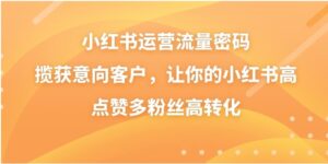 小红书运营流量密码，揽获意向客户，让你的小红书高点赞多粉丝高转化-大磊资源网