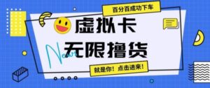 虚拟卡无限撸货，百分百成功下车【仅揭秘】-大磊资源网