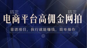 电商平台高佣金网拍，靠谱项目，执行就能赚钱，简单操作-大磊资源网
