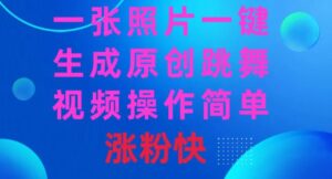 一张照片，一键生成原创跳舞视频操作简单涨粉快-大磊资源网