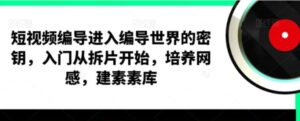 短视频编导，进入编导世界的密钥，入门从拆片开始，培养网感，建素素库-大磊资源网