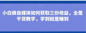 小白做自媒体如何获取三份收益，全是干货教学，学到就是赚到-大磊资源网