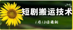 最新短剧搬运技术，电脑手机都可以操作，不限制机型-大磊资源网