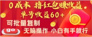 全新平台，0成本撸红包赚收益，单号收益60+，可批量复制，无脑操作，小白有手就行-大磊资源网
