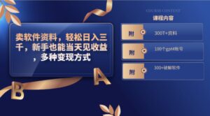卖软件资料，轻松日入三千，新手也能当天见收益，多种变现方式-大磊资源网