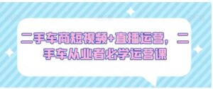外面收费12000的playtube撸美金项目，单日收益30美金+工作室可批量搞【揭秘】-大磊资源网