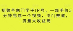 视频号寒门学子IP号，一部手价5分钟完成一个视频，冷门赛道，流量大收益高【揭秘】-大磊资源网