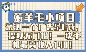薅羊毛小项目，亲测一个广告5毛钱，提现无门槛！一块手机最高收入140！-大磊资源网