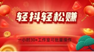 轻抖轻松赚，日入500+，工作室可批量操作-大磊资源网