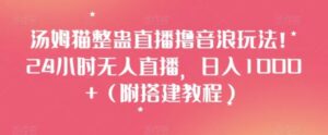汤姆猫整蛊直播撸音浪玩法！24小时无人直播，日入1000+【揭秘】-大磊资源网