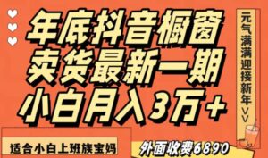 最新一期抖音橱窗冬季卖货小白单账号月入3万+在家也做，无成本只需执行即可-大磊资源网