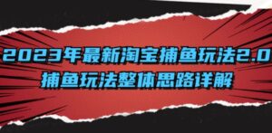 2023年最新淘宝捕鱼玩法2.0，捕鱼玩法整体思路详解-大磊资源网