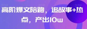 高阶爆文陪跑，追故事+热点，产出10w+-大磊资源网