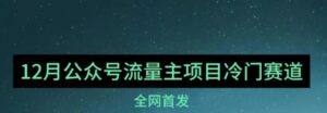 12月份最新公众号流量主小众赛道推荐，30篇以内就能入池！-大磊资源网