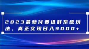 2023最新付费进群系统，日入3000+，送全套源码-大磊资源网