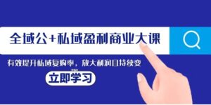 全域公+私域盈利商业大课，有效提升私域复购率，放大利润且持续变现-大磊资源网